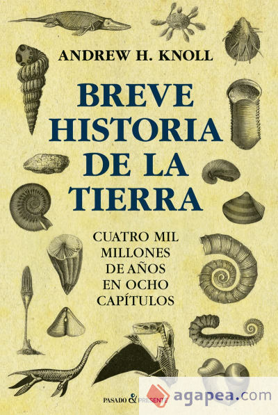 Breve historia de la tierra