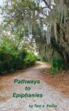 Pathways to Epiphanies