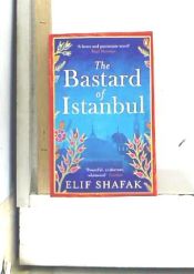Portada de The Bastard of Istanbul