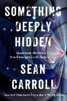 Portada de Something Deeply Hidden: Quantum Worlds and the Emergence of Spacetime