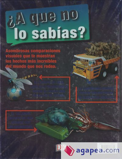 ¿A que no lo sabías?