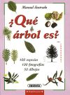 Pequeñas Joyas. ¿Qué árbol es?