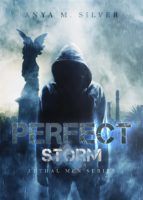 Portada de Perfect Storm (Ebook)