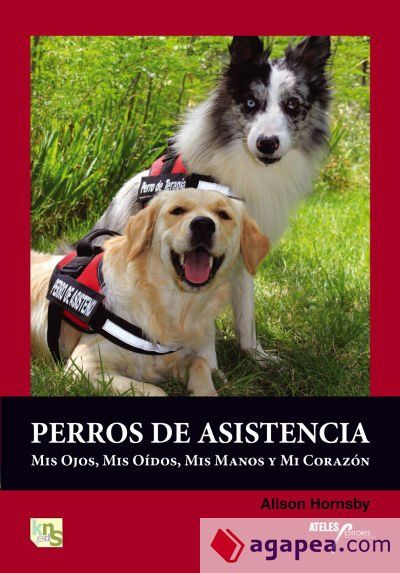 Perros de asistencia: mis ojos, mis o&iacute;dos, mis manos y mi coraz&oacute;n