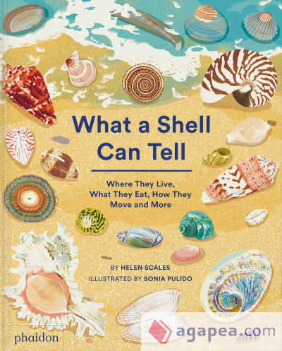 What a Shell Can Tell