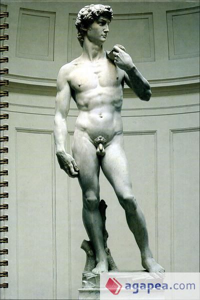 Agenda/Michelangelo-David