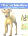 Pinscher Miniatura