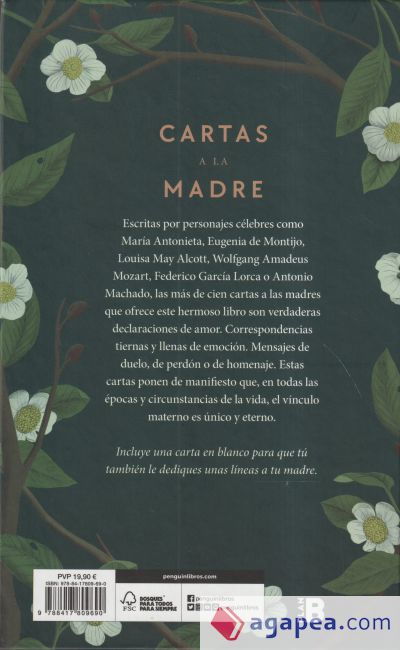 Cartas a la madre