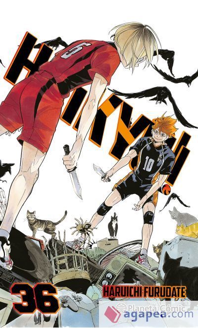 Haiky&ucirc;!! n&ordm; 36/45