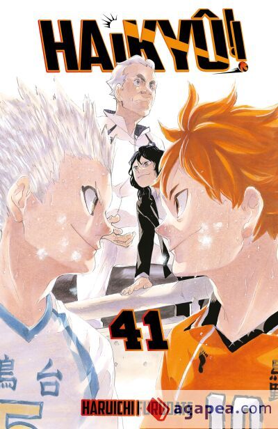 Haikyû!! nº 41/45 Haikyû!! nº 41/45