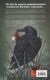 Contraportada de Lluvia, de Joe Hill