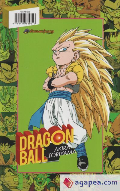 Dragon Ball Color Buu 5