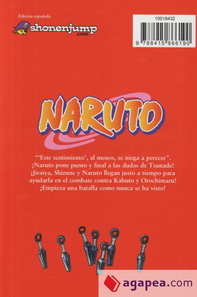 Naruto nº 19