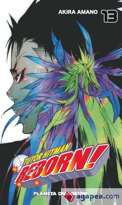 Tutor Hitman Reborn nº13