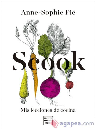 Scook Scook