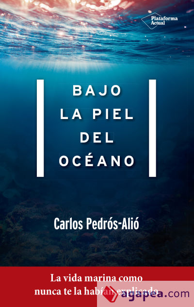 Bajo la piel del océano