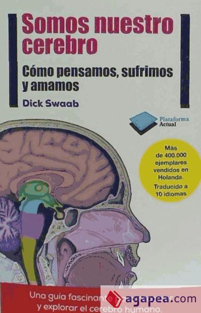 Somos nuestro cerebro