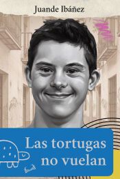 Portada de Las tortugas no vuelan
