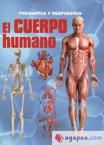 Preguntas y respuestas, el cuerpo humano