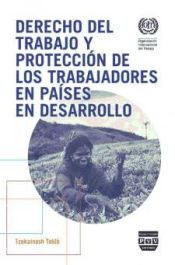 Portada de DERECHO DEL TRABAJO Y PROTECCIÓN DE LOS TRABAJADORES EN PAÍSES EN DESARROLLO