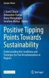 Positive Tipping Points Towards Sustainability