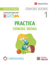 Practica Ciencias Sociais 1 (Comunidade Zoom)