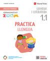 Practica Llengua 1 Activitats C. Valenciana (1.1-1.2-1.3) (Comunitat Zoom)