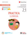 Practica Llengua 2 Activitats C. Valenciana (2.1-2.2-2.3) (Comunitat Zoom)