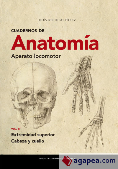 Cuadernos de Anatomía. Aparato locomotor