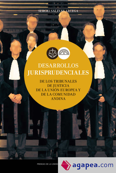 Desarrollos jurisprudenciales