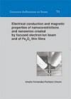 Portada de Electrical conduction and magnetic properties of nanoconstrictions and nanowires created by focused electron/ion beam and of Fe304 thin films