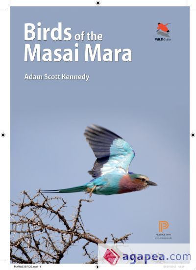 Birds of the Masai Mara
