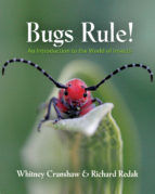 Portada de Bugs Rule! (Ebook)