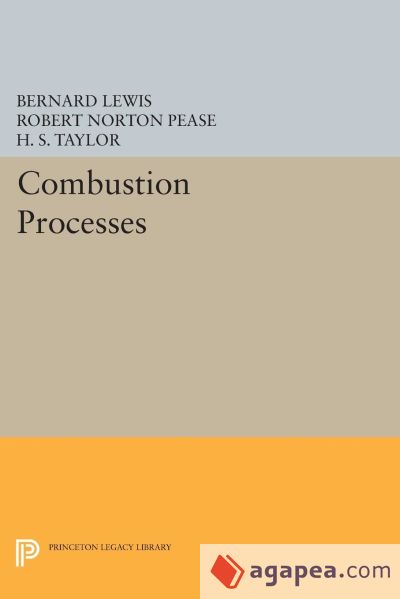 Combustion Processes