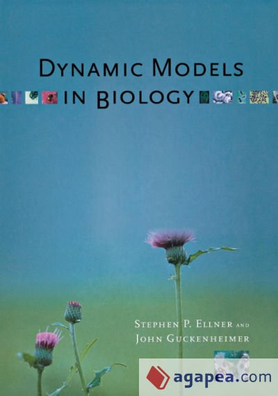 Dynamic Models in Biology