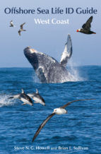 Portada de Offshore Sea Life ID Guide (Ebook)