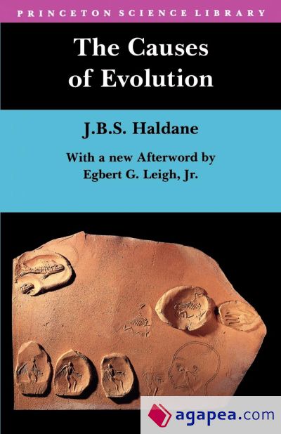 The Causes of Evolution The Causes of Evolution
