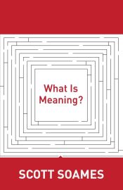 Portada de What Is Meaning?