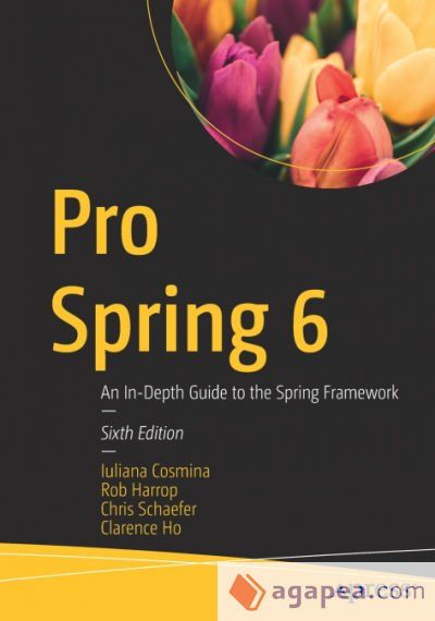 Pro Spring 6