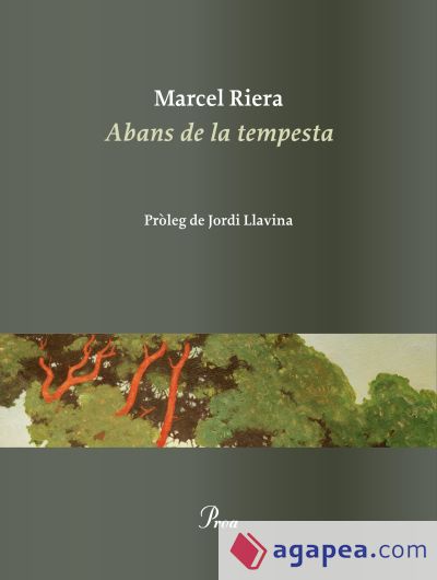 Abans de la tempesta