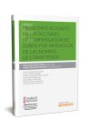 Problemas actuales en las acciones de compensación de daños por infracción de la