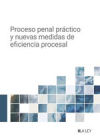 Proceso penal práctico y nuevas medidas de eficiencia procesal