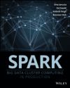 Professional Spark: Big Data Cluster Computing in Production