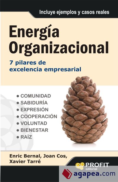 ENERGIA ORGANIZACIONAL