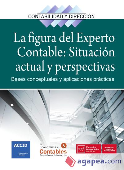 La figura del experto contable: situación actual y perspectivas