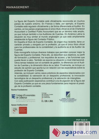 La figura del experto contable: situaci&oacute;n actual y perspectivas