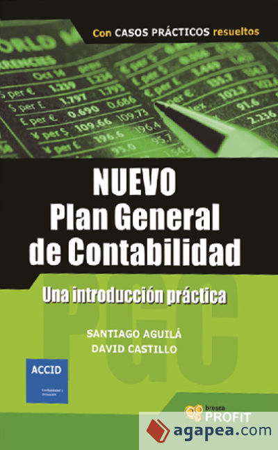 NUEVO PLAN GENERAL DE CONTABILIDAD:una introducción práctica