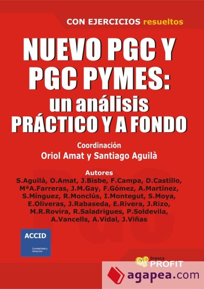 Nuevo PGC y PGC PYMES: Un análisis práctico y a fondo