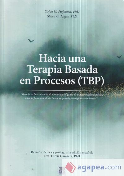 Hacia una terapia basada en procesos (TBP)
