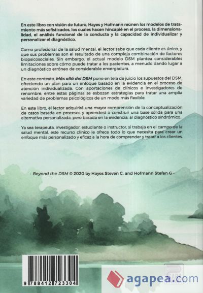 M&aacute;s all&aacute; del DSM: Hacia una alternativa Basada en Procesos para el diagn&oacute;stico y el tratamiento de la salud mental